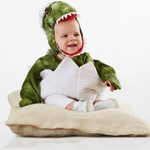 Pottery Barn Kids Green Dinosaur Costume